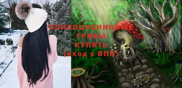 стаф Арсеньев
