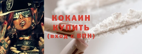 стаф Арсеньев