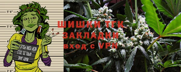 стаф Арсеньев