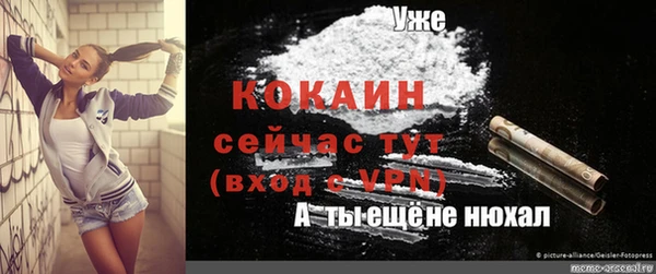 стаф Арсеньев