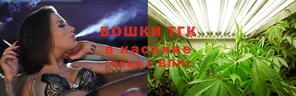 мдпв Надым